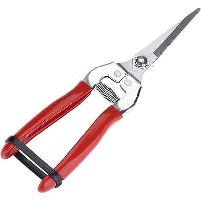 Pruning Shears